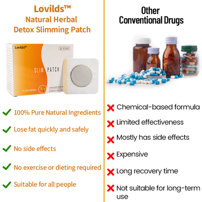 LOVILDS™ Natural Herbal Detox Slimming Patch (Limited time discount 🔥last day)