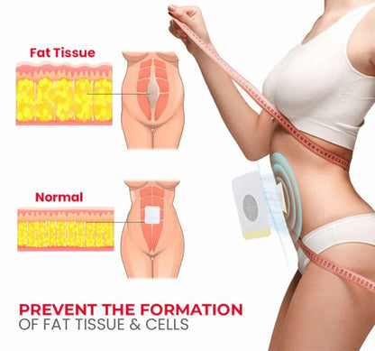 LOVILDS™ Natural Herbal Detox Slimming Patch (Limited time discount 🔥last day)